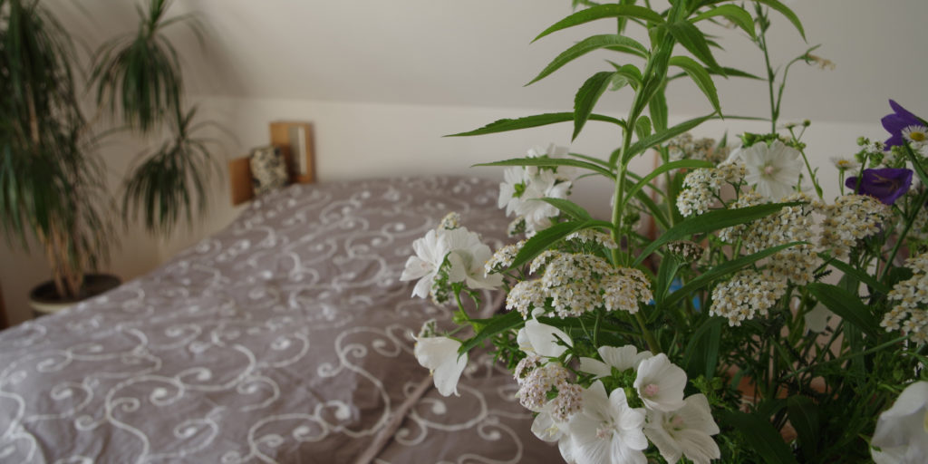 Achten Sie bei Schalfstörungen auf eine gute Schlafhygiene und ein gesundes, naturnahes Schlafumfeld!